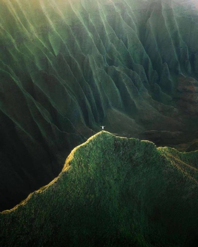 No Words Needed For These Pictures (49 pics)