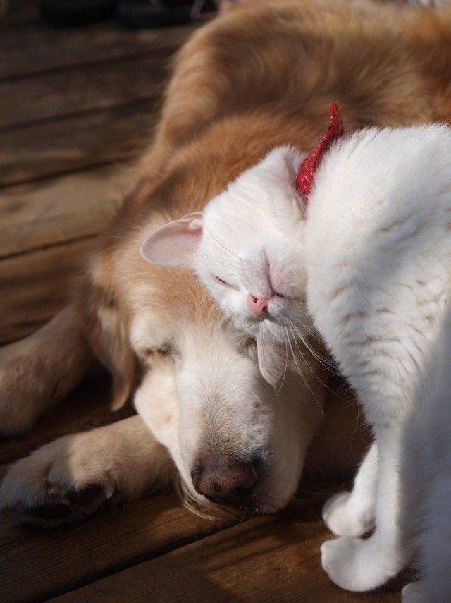 No Words Needed For These Pictures (49 pics)