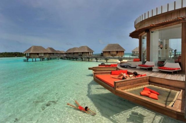 No Words Needed For These Pictures (49 pics)