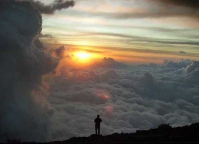 No Words Needed For These Pictures (49 pics)