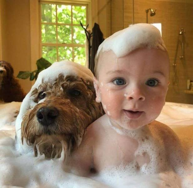 No Words Needed For These Pictures (49 pics)