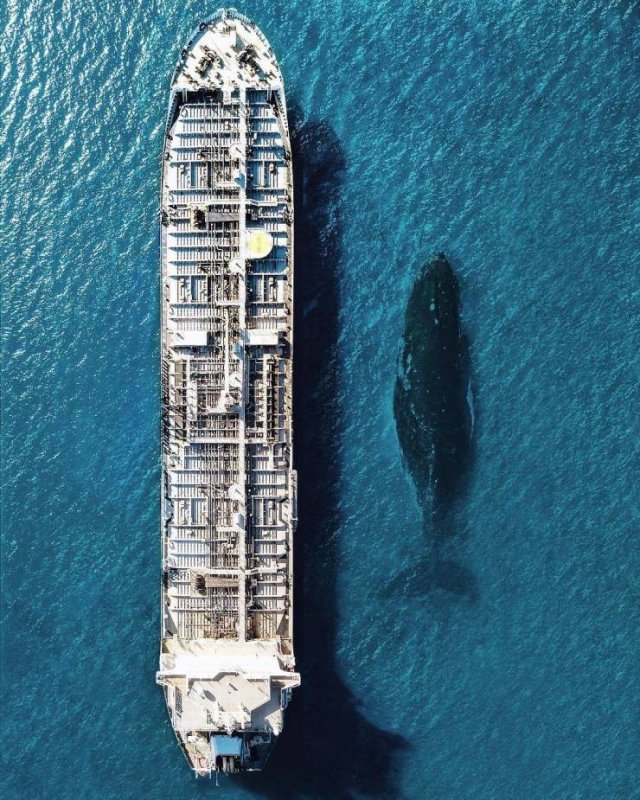 No Words Needed For These Pictures (49 pics)