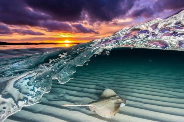 No Words Needed For These Pictures (49 pics)