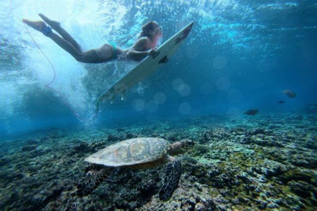 No Words Needed For These Pictures (49 pics)