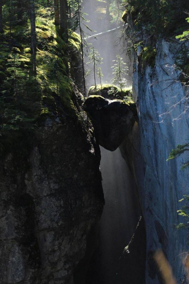 No Words Needed For These Pictures (49 pics)