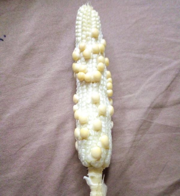 Expectations Vs. Reality (19 pics) Expectations Vs. Reality (19 pics)