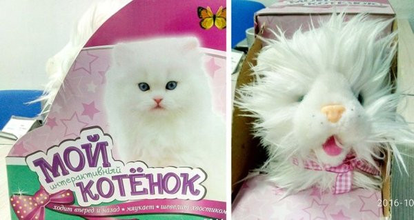 Expectations Vs. Reality (19 pics) Expectations Vs. Reality (19 pics)