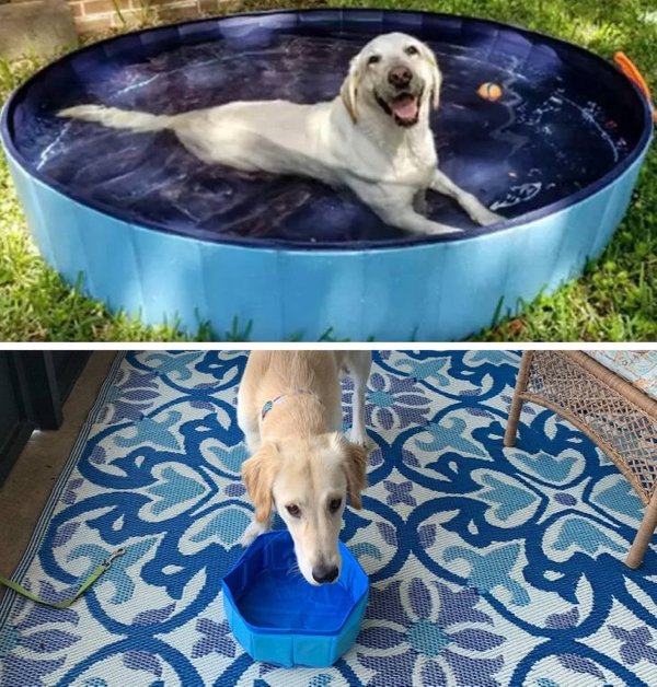 Expectations Vs. Reality (19 pics) Expectations Vs. Reality (19 pics)