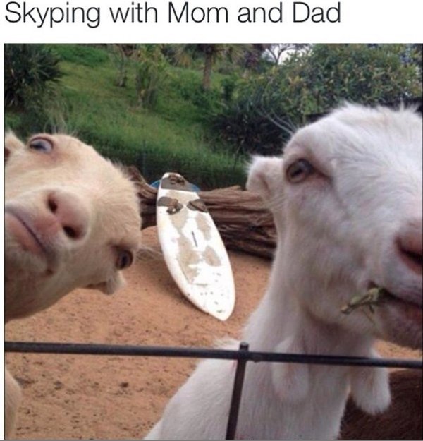So True (44 pics)