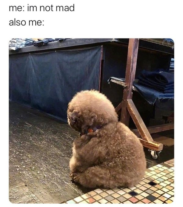 So True (44 pics)
