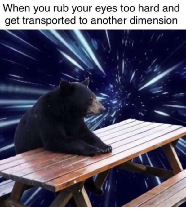 So True (44 pics)