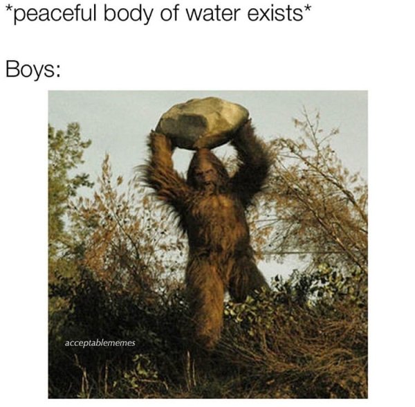 So True (44 pics)