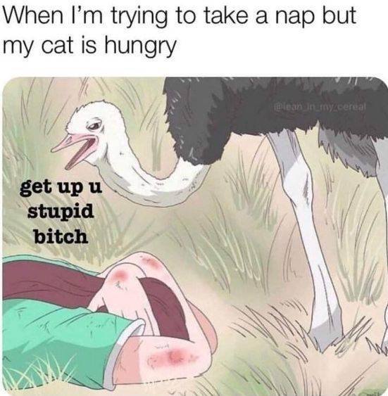 Acid Picdump. Part 2 (96 pics)