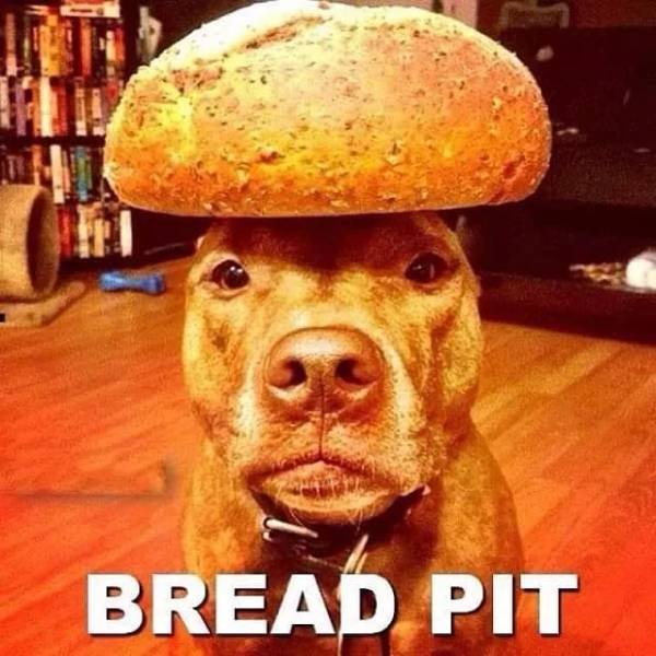 Acid Picdump. Part 2 (96 pics)
