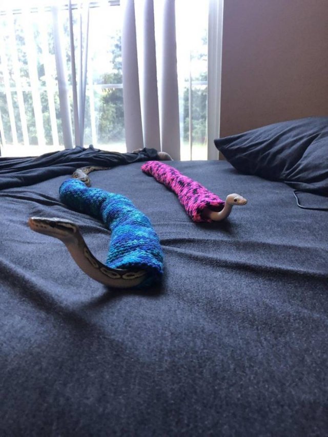 Acid Picdump. Part 2 (96 pics)