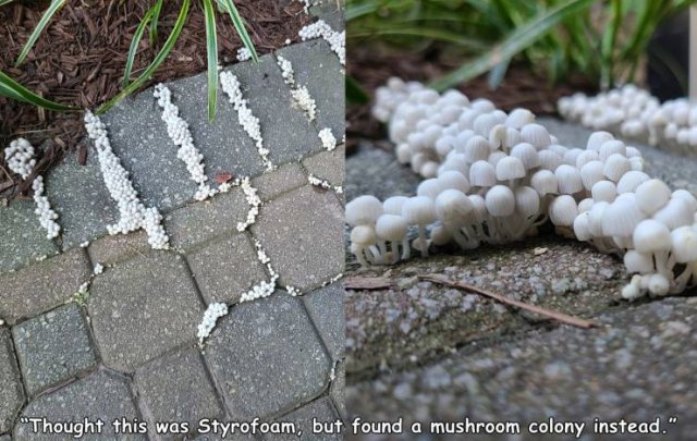 Acid Picdump. Part 2 (96 pics)