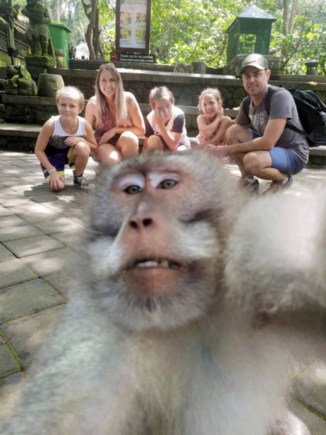 Acid Picdump. Part 2 (96 pics)