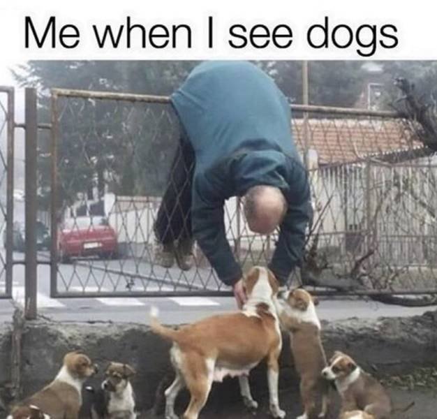 Acid Picdump. Part 2 (96 pics)
