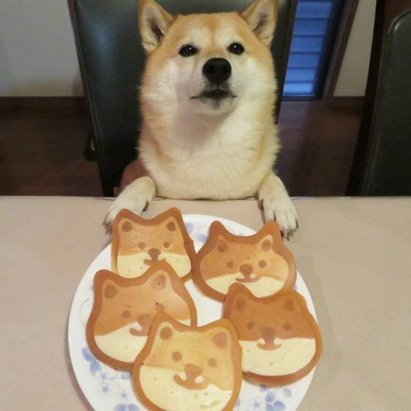 Acid Picdump. Part 2 (96 pics)