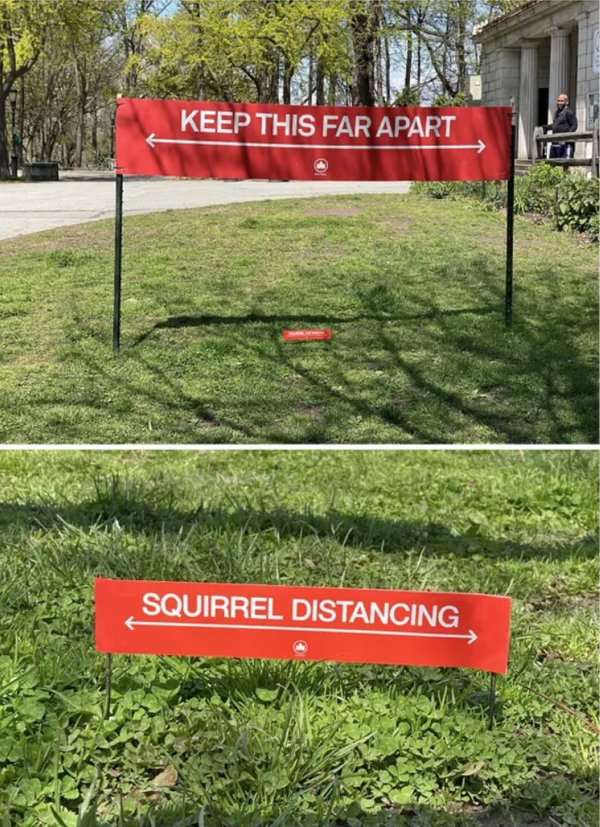 Social Distancing Solutions (19 pics)