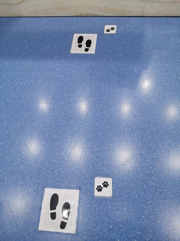 Social Distancing Solutions (19 pics)