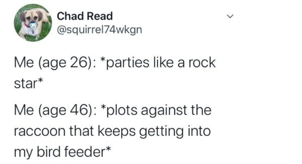 So True (37 pics)