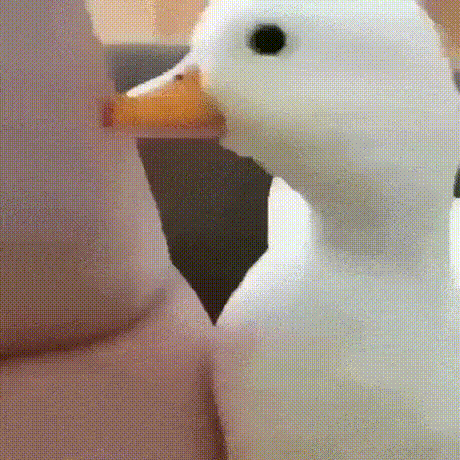 Acid Gifdump, September 7 (25 gifs)