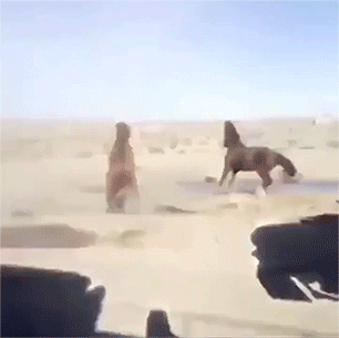 Acid Gifdump, September 7 (25 gifs)