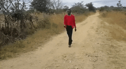 Acid Gifdump, September 7 (25 gifs)