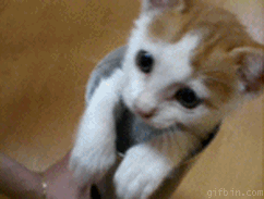 Acid Gifdump, September 7 (25 gifs)