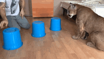 Acid Gifdump, September 7 (25 gifs)