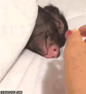Acid Gifdump, September 7 (25 gifs)