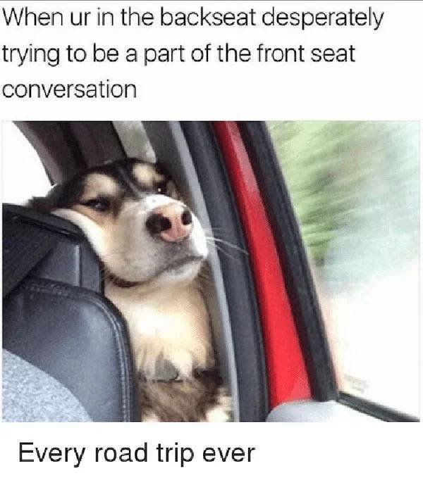Road Trip Memes (29 pics)