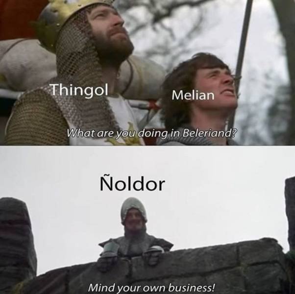 LOTR Memes (24 pics)