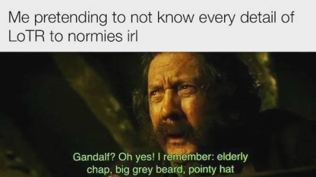 LOTR Memes (24 pics)