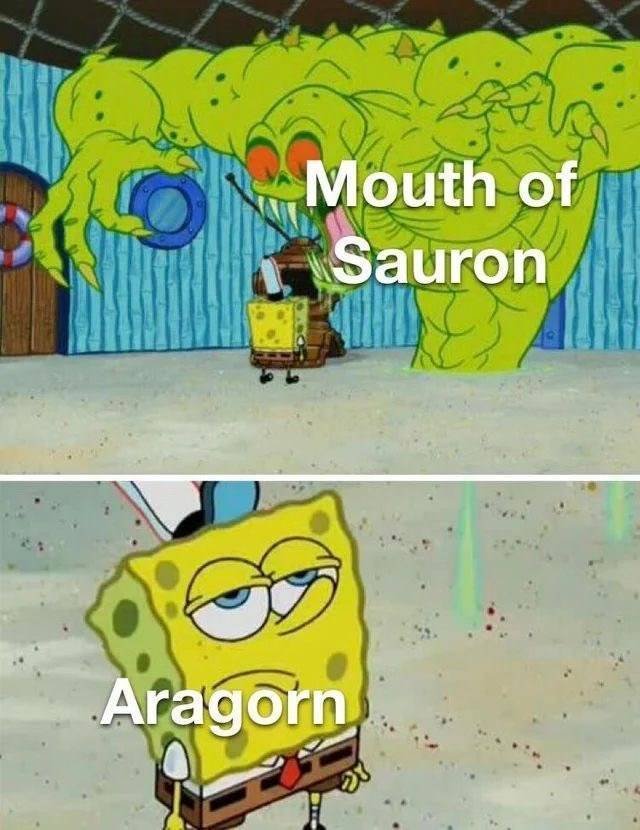LOTR Memes (24 pics)