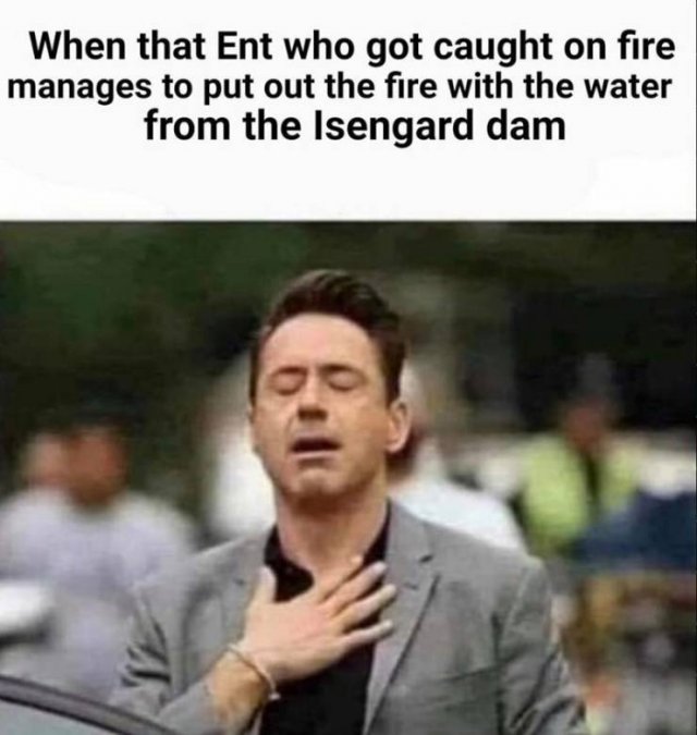 LOTR Memes (24 pics)
