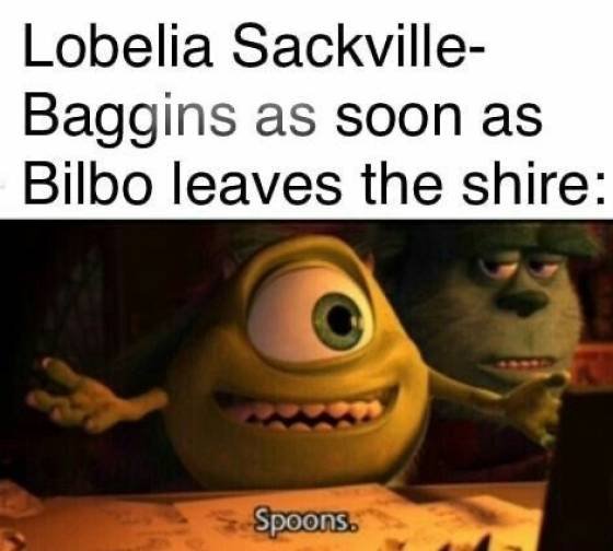 LOTR Memes (24 pics)