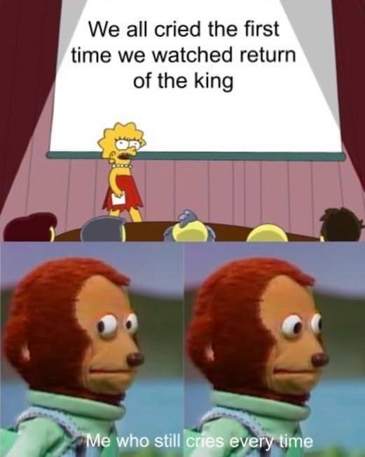 LOTR Memes (24 pics)