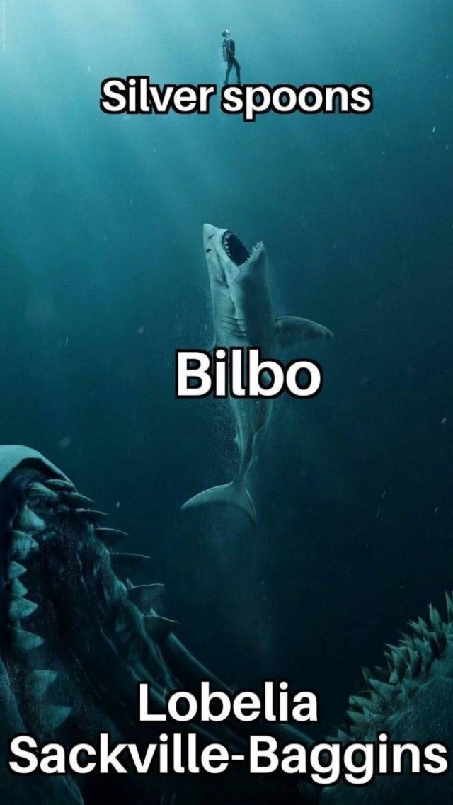 LOTR Memes (24 pics)