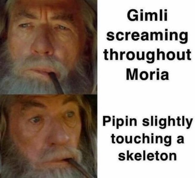 LOTR Memes (24 pics)