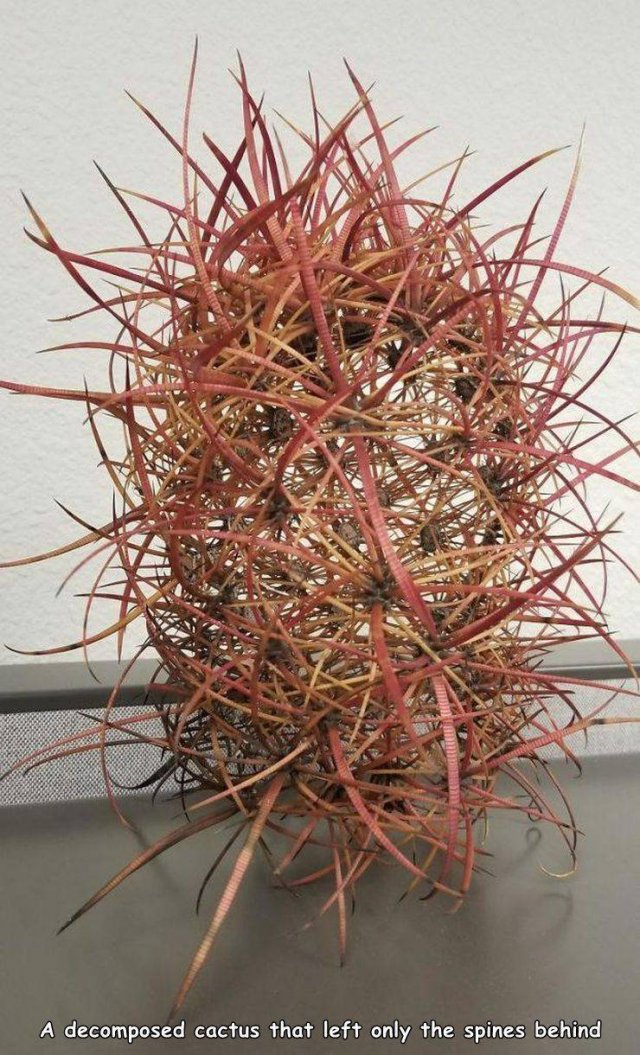 Acid Picdump. Part 2 (93 pics)