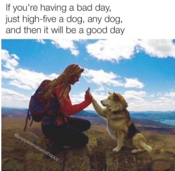 Acid Picdump. Part 2 (93 pics)