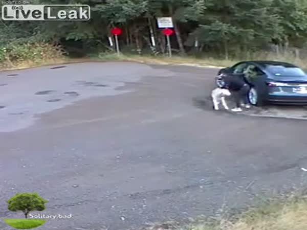 Why Would Somebody Do This?