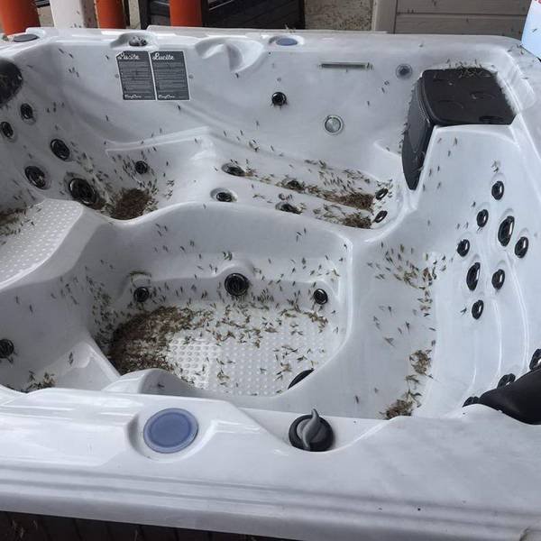 Bad Days Happen (49 pics)