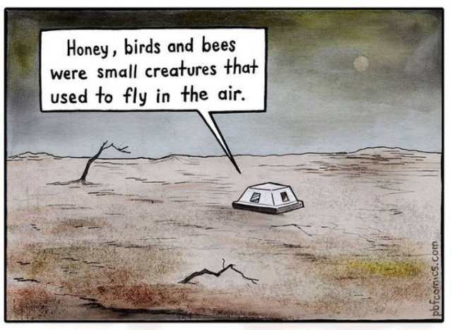 Funny Comics (36 pics)