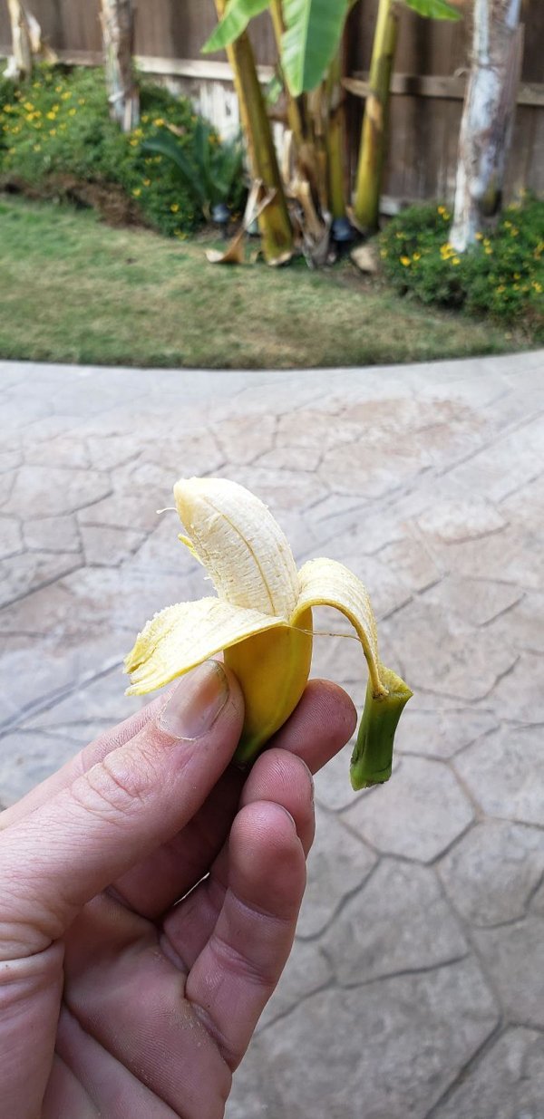 People Show Off Their Tiny Harvests (29 pics)