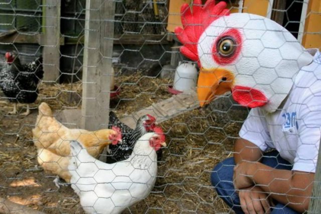 Acid Picdump. Part 1 (96 pics)