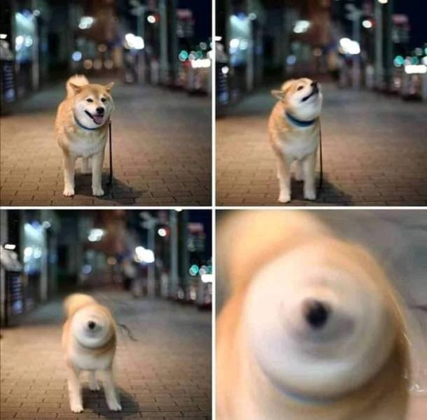 Acid Picdump. Part 2 (95 pics)