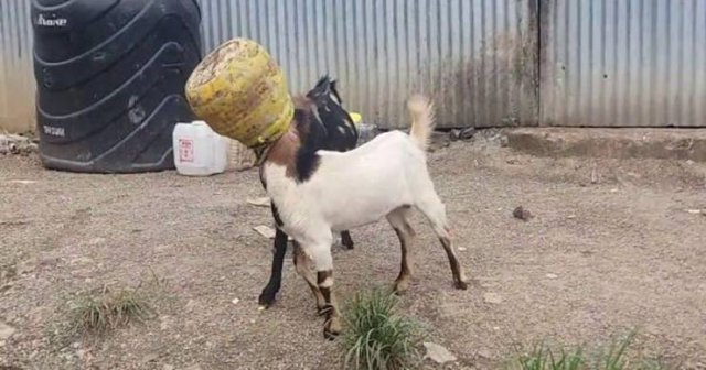 Acid Picdump. Part 1 (96 pics)